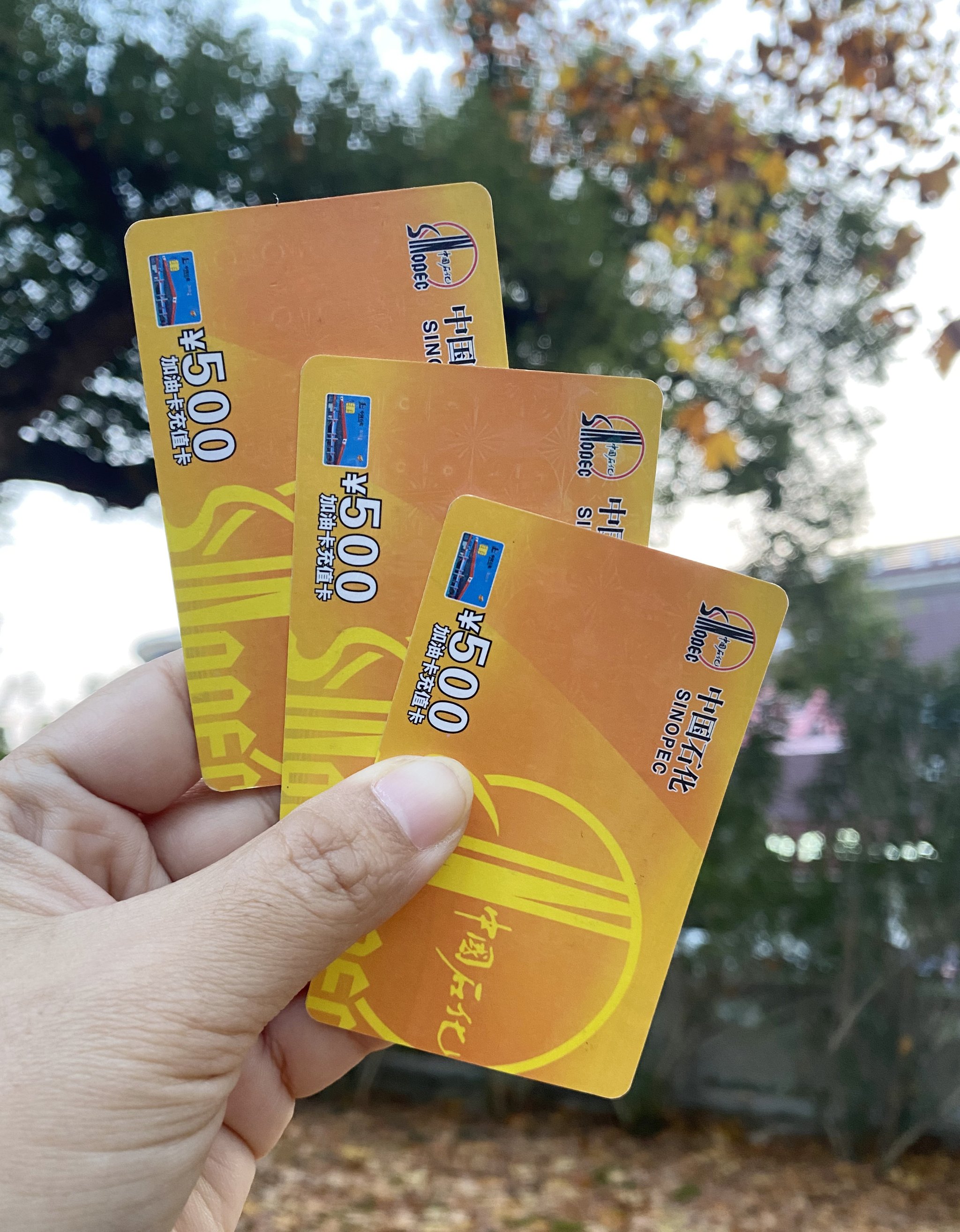 象山最新充值卡批发自助下单方法分析(最方便真实的象山充值卡批发自助下单app方法)